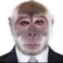 panu007