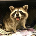 tomcat30267's Avatar