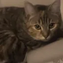 depressedcroinky