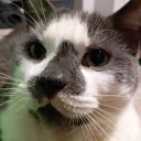 _candycorn