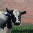 community profile picture