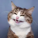c7ay