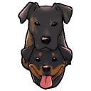 crazie_hundeen