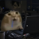 avatar Hamoos