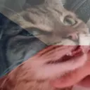 houmreu