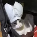 gabrielhaxxorer
