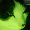 ___fro___ avatar