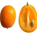 yunghezzo