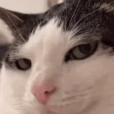 emi.py