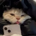 zuftyyy