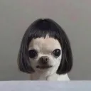 hnfdm