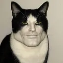 duydanh