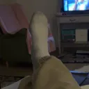 lemounstv