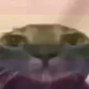Image for c0xpr