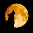 magicalmoonlight9507