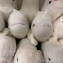 margit_hase