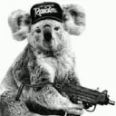 koala4964
