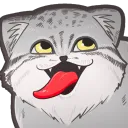 hachiwaremanul