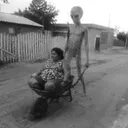 reque_019