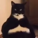 willinggipsy