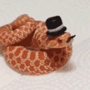 snakeamazing