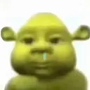 meoon