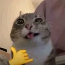 tvoyamama_1