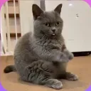 szro