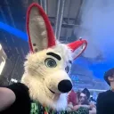 rodefox
