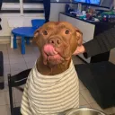 krwtouf