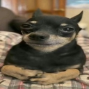 Discord Avatar