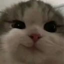 reechurd