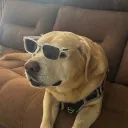 toocrusty
