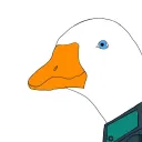 goosefat