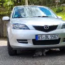 dariotr.