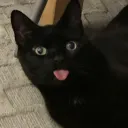 fmcalado
