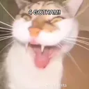 zenji_420