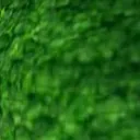 xxclgam12