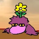 ladyzeker
