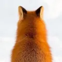 kh_0u0