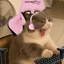 muzik3451
