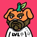 cryptokingzzz