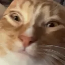 luckylulw