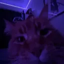 r4mseyyy