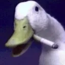 smokingduck777