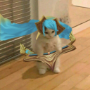 avatar SONA OTP