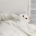 katyaxxx