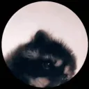 shadowrui