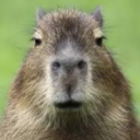 prosoldier_#2057's avatar