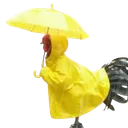 legionxz